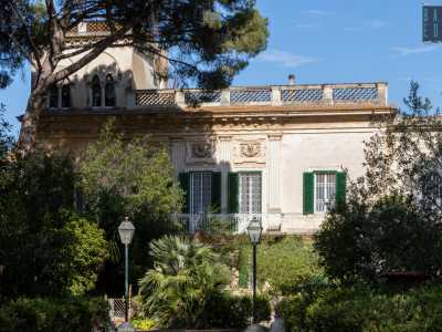 ...che comunque si riesce a intravedere tra le fronde di rigogliosi arbusti